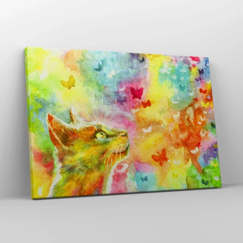 Impression sur toile - Image sur toile - Bayou-bayou au paradis des chats - 70x50 cm