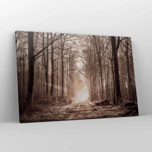 Impression sur toile - Image sur toile - Cathédrale de la forêt - 120x80 cm