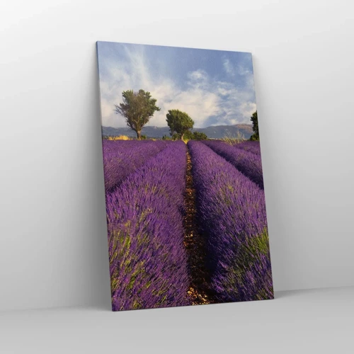 Impression sur toile - Image sur toile - Champs de lavande - 80x120 cm