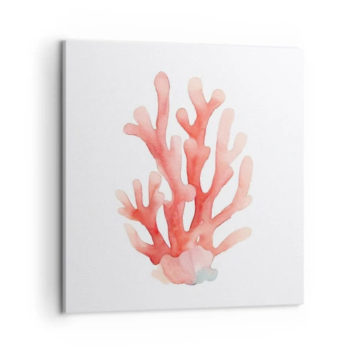 Impression sur toile - Image sur toile - Corail couleur corail - 50x50 cm