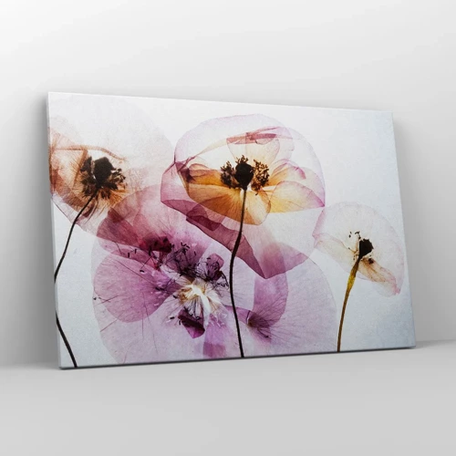 Impression sur toile - Image sur toile - Corps de fleurs transparente - 120x80 cm