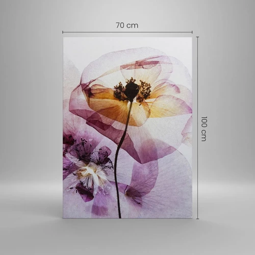 Impression sur toile - Image sur toile - Corps de fleurs transparente - 70x100 cm