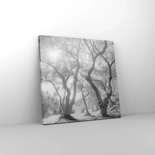 Impression sur toile - Image sur toile - Dans l'oliveraie - 30x30 cm