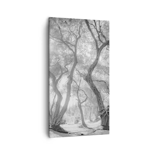 Impression sur toile - Image sur toile - Dans l'oliveraie - 45x80 cm
