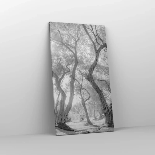 Impression sur toile - Image sur toile - Dans l'oliveraie - 45x80 cm