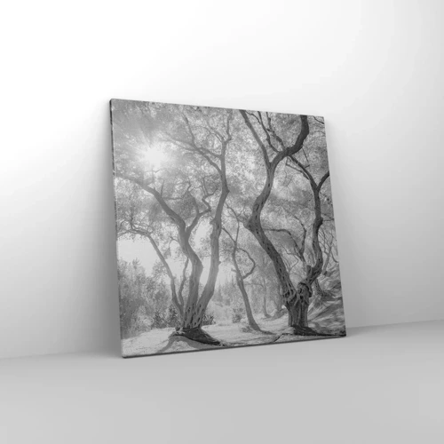 Impression sur toile - Image sur toile - Dans l'oliveraie - 60x60 cm
