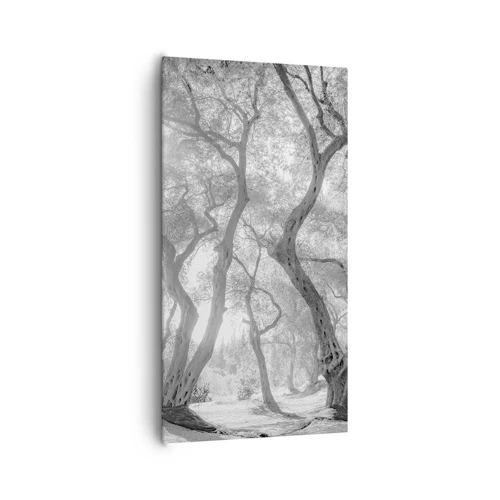 Impression sur toile - Image sur toile - Dans l'oliveraie - 65x120 cm