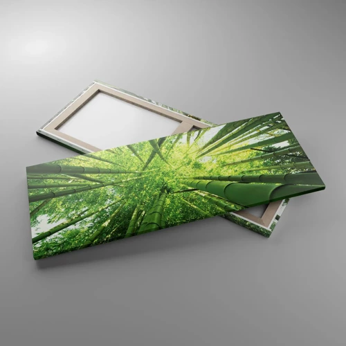 Impression sur toile - Image sur toile - Dans une bambouseraie - 100x40 cm
