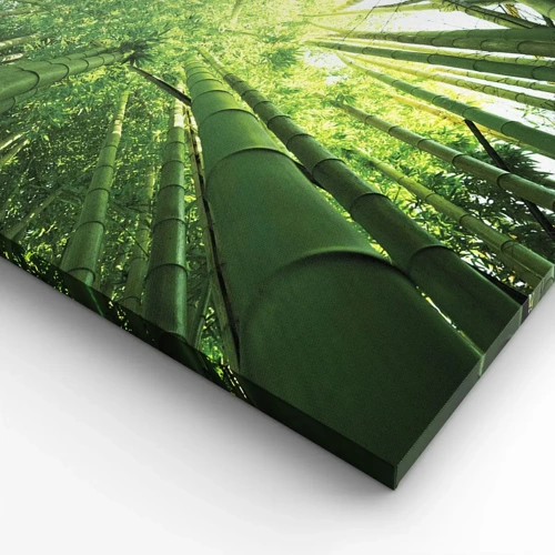 Impression sur toile - Image sur toile - Dans une bambouseraie - 100x40 cm