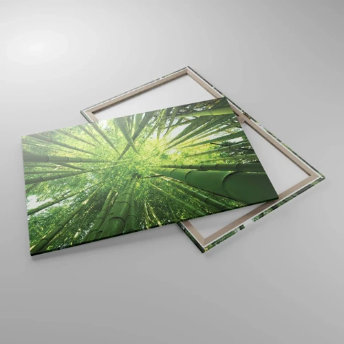 Impression sur toile - Image sur toile - Dans une bambouseraie - 100x70 cm