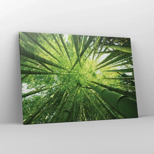 Impression sur toile - Image sur toile - Dans une bambouseraie - 100x70 cm