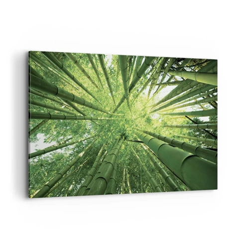 Impression sur toile - Image sur toile - Dans une bambouseraie - 120x80 cm