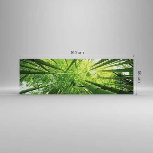 Impression sur toile - Image sur toile - Dans une bambouseraie - 160x50 cm