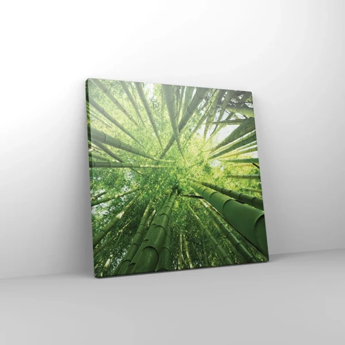 Impression sur toile - Image sur toile - Dans une bambouseraie - 30x30 cm