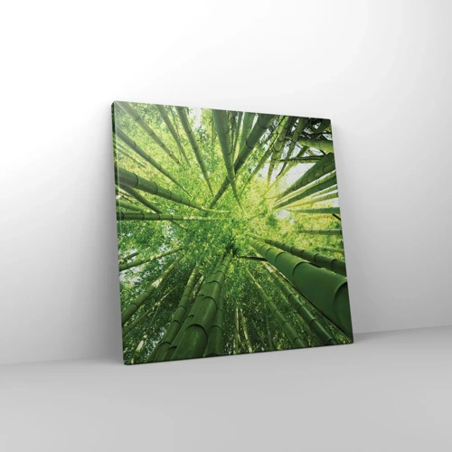 Impression sur toile - Image sur toile - Dans une bambouseraie - 40x40 cm