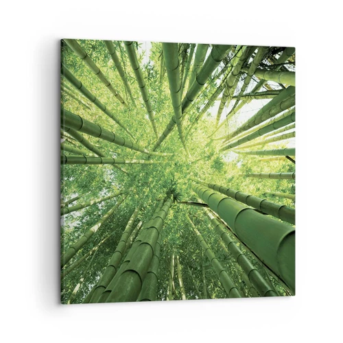 Impression sur toile - Image sur toile - Dans une bambouseraie - 50x50 cm
