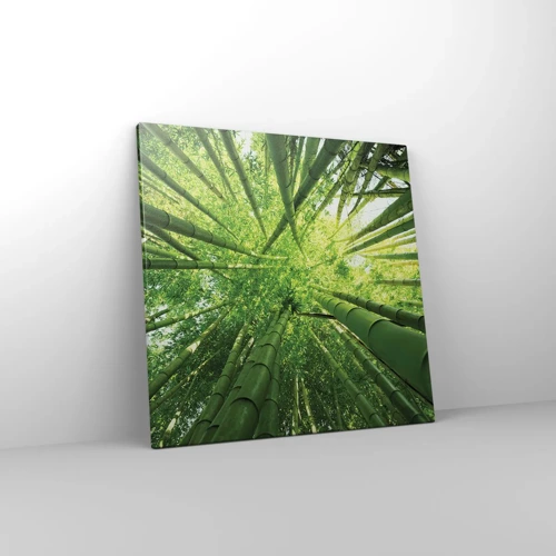 Impression sur toile - Image sur toile - Dans une bambouseraie - 50x50 cm