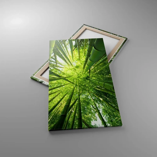 Impression sur toile - Image sur toile - Dans une bambouseraie - 55x100 cm