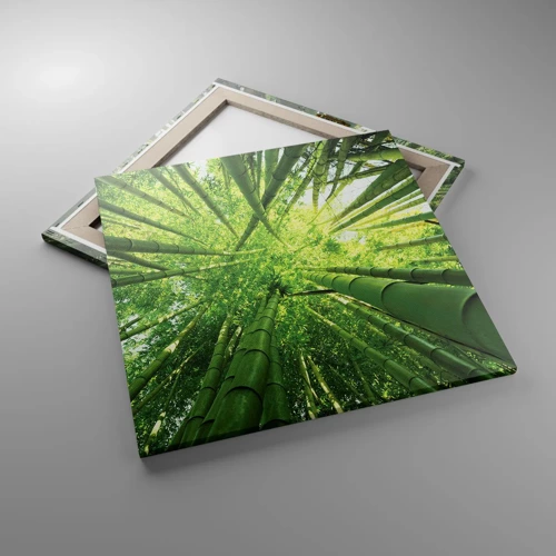 Impression sur toile - Image sur toile - Dans une bambouseraie - 60x60 cm