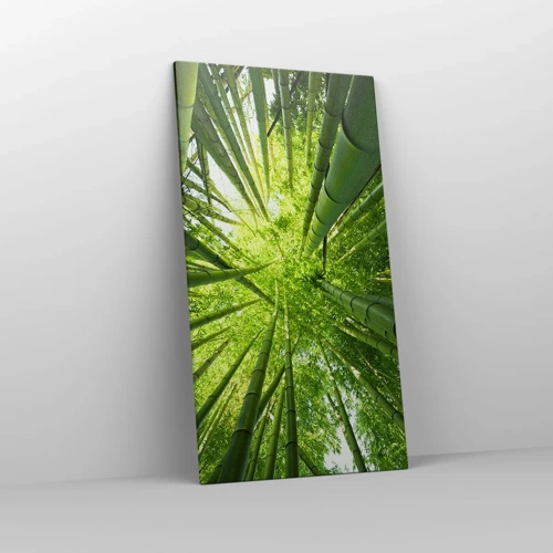 Impression sur toile - Image sur toile - Dans une bambouseraie - 65x120 cm