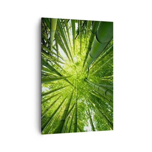 Impression sur toile - Image sur toile - Dans une bambouseraie - 70x100 cm