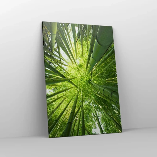 Impression sur toile - Image sur toile - Dans une bambouseraie - 70x100 cm