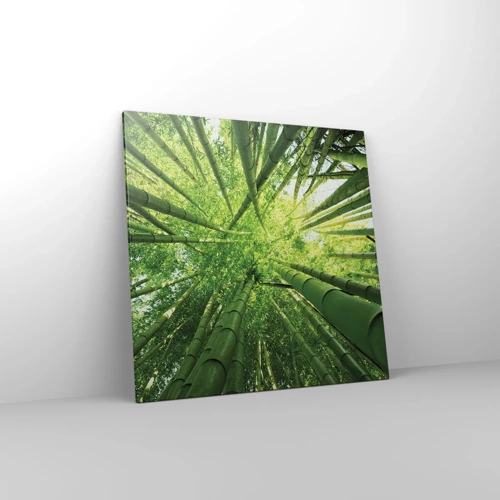 Impression sur toile - Image sur toile - Dans une bambouseraie - 70x70 cm