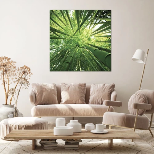 Impression sur toile - Image sur toile - Dans une bambouseraie - 70x70 cm