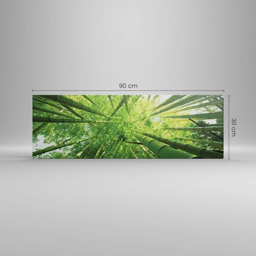 Impression sur toile - Image sur toile - Dans une bambouseraie - 90x30 cm