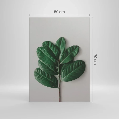 Impression sur toile - Image sur toile - Dessin de la nature elle-même - 50x70 cm