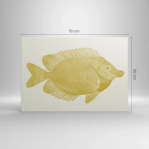 Impression sur toile - Image sur toile - Du poisson et c'est tout - 70x50 cm