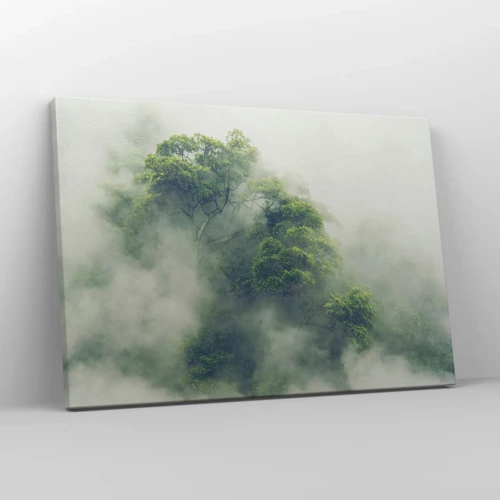 Impression sur toile - Image sur toile - Enveloppé de brouillard - 70x50 cm