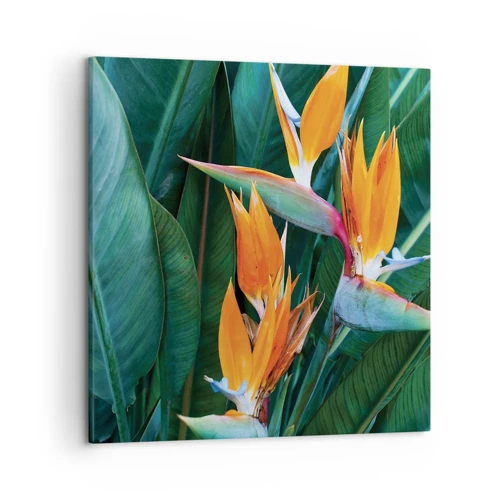 Impression sur toile - Image sur toile - Est-ce une fleur, est-ce un oiseaux? - 50x50 cm