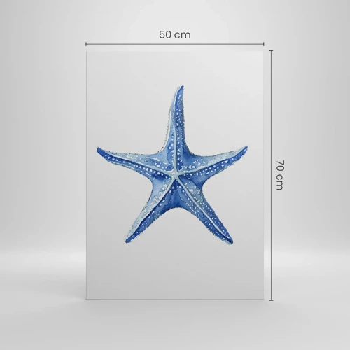 Impression sur toile - Image sur toile - Étoile de mer - 50x70 cm