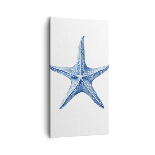 Impression sur toile - Image sur toile - Étoile de mer - 55x100 cm