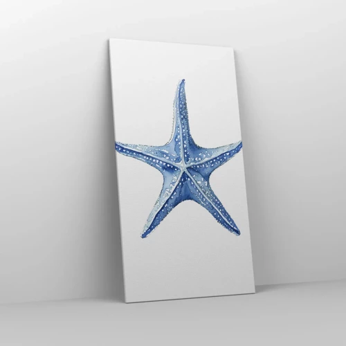 Impression sur toile - Image sur toile - Étoile de mer - 65x120 cm