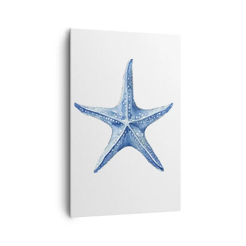 Impression sur toile - Image sur toile - Étoile de mer - 80x120 cm