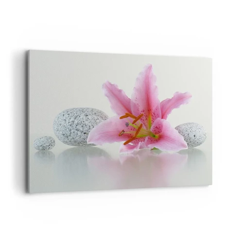 Impression sur toile - Image sur toile - Étude de rose, gris et blanc - 120x80 cm