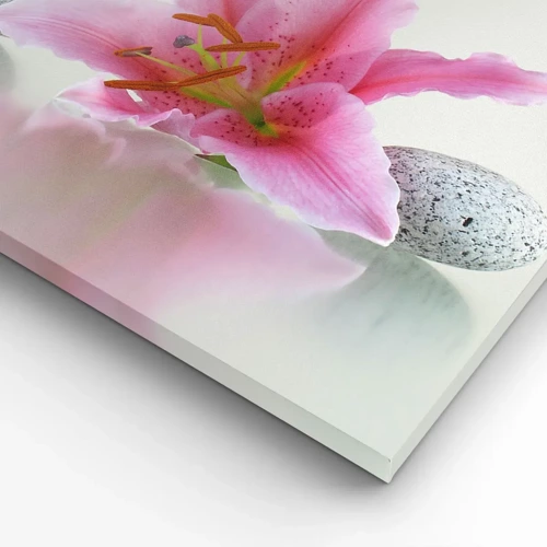 Impression sur toile - Image sur toile - Étude de rose, gris et blanc - 65x120 cm
