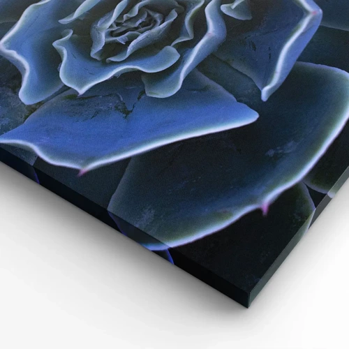 Impression sur toile - Image sur toile - Fleur du désert - 100x70 cm