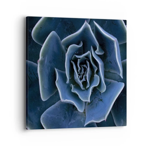 Impression sur toile - Image sur toile - Fleur du désert - 40x40 cm