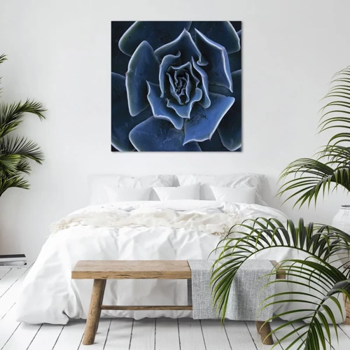 Impression sur toile - Image sur toile - Fleur du désert - 50x50 cm