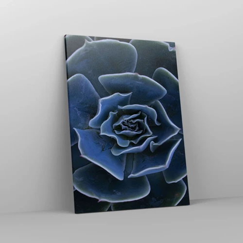 Impression sur toile - Image sur toile - Fleur du désert - 50x70 cm