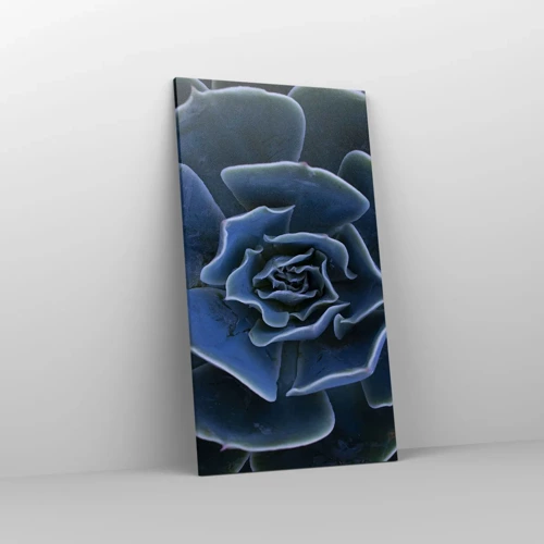 Impression sur toile - Image sur toile - Fleur du désert - 55x100 cm