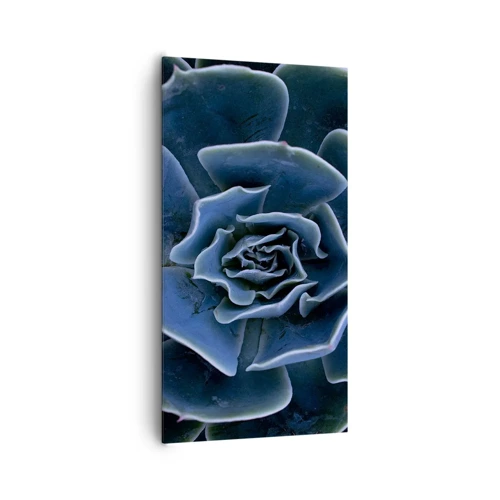 Impression sur toile - Image sur toile - Fleur du désert - 65x120 cm