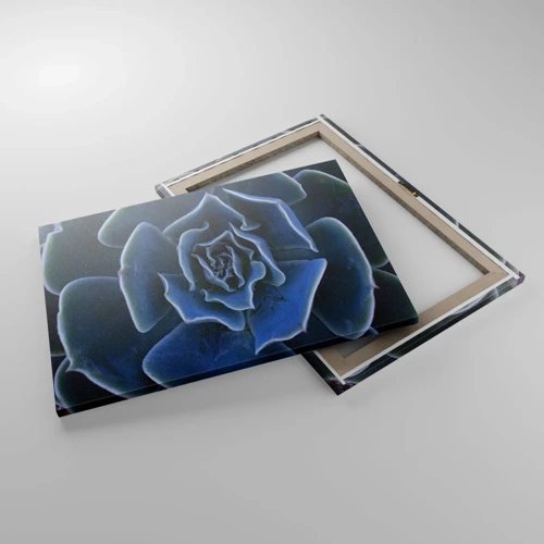 Impression sur toile - Image sur toile - Fleur du désert - 70x50 cm