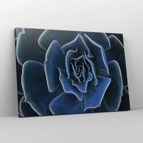 Impression sur toile - Image sur toile - Fleur du désert - 70x50 cm