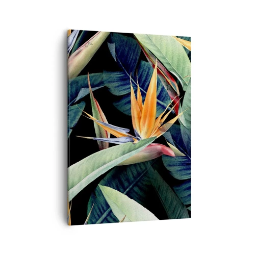 Impression sur toile - Image sur toile - Fleurs flamboyantes des tropiques - 50x70 cm