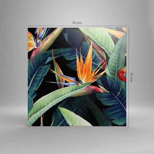 Impression sur toile - Image sur toile - Fleurs flamboyantes des tropiques - 70x70 cm