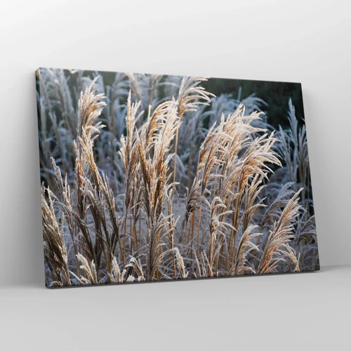 Impression sur toile - Image sur toile - Habillé de givre - 70x50 cm